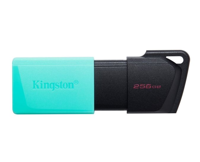 (image for) Kingston DTXM/256GB