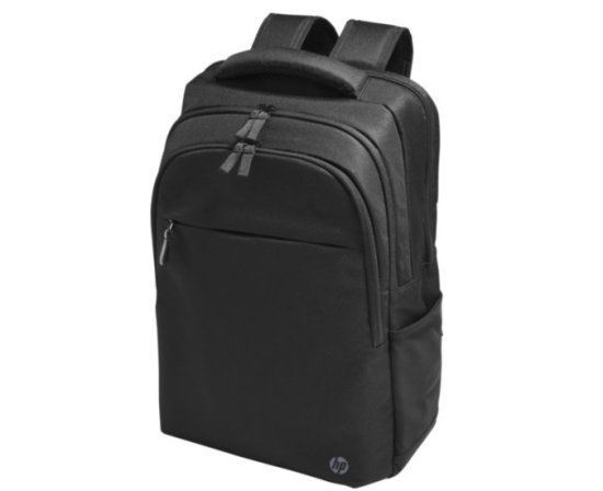 (image for) HP Backpack Professional 17.3"