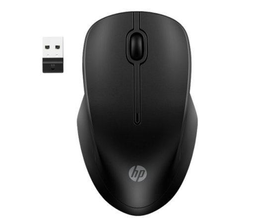 (image for) HP 255 Dual Wireless Mouse