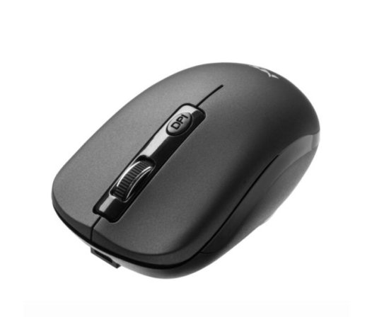 (image for) MS FOCUS M310