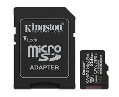 (image for) Kingston Canvas Select Plus microSD 256GB