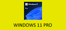 Win 11 Professional